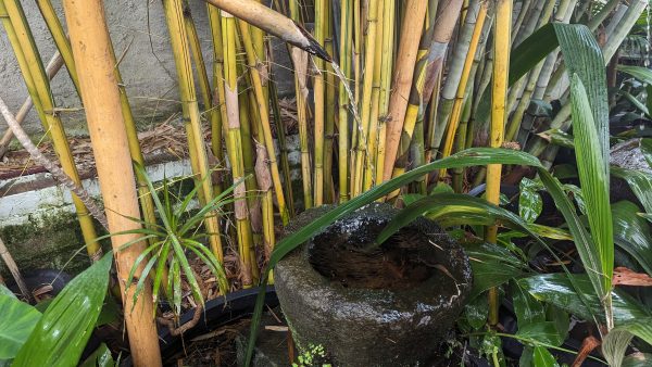 2 piece bamboo spout