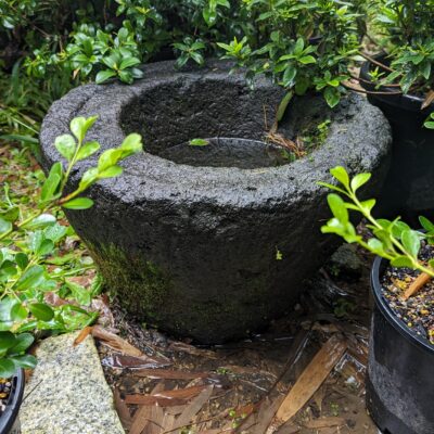 Dark grey stone water bowl filled with water